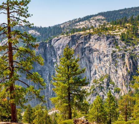 Yosemite Vs Yellowstone