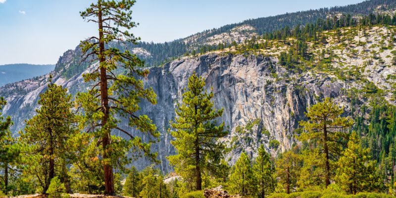 Yosemite Vs Yellowstone