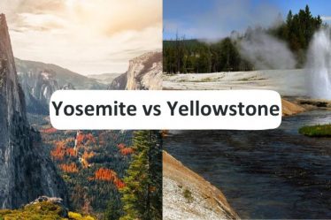 Yosemite Vs Yellowstone