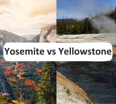 Yosemite Vs Yellowstone