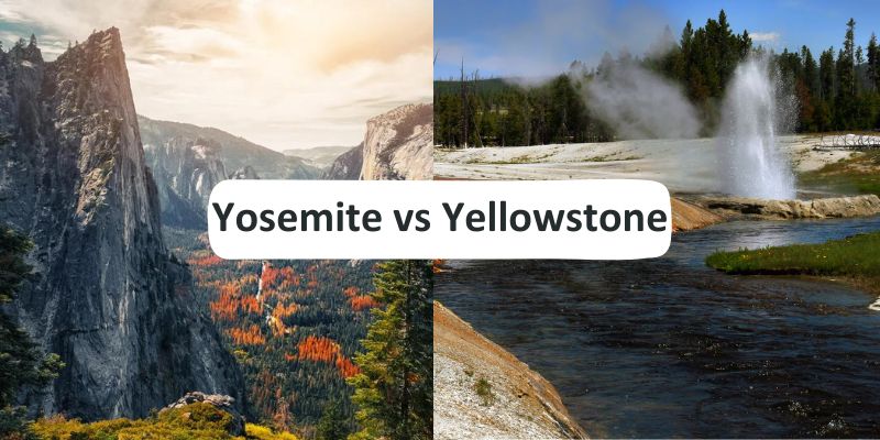 Yosemite Vs Yellowstone